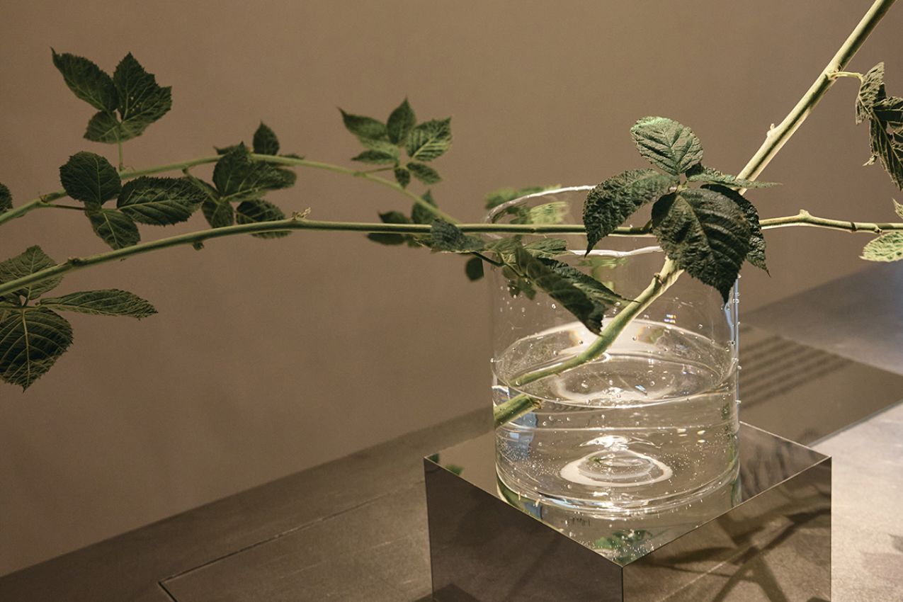 "SEPTIEMBRE" VASE